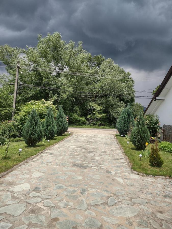 Pensiunea Codruta Cărpinişu Kültér fotó