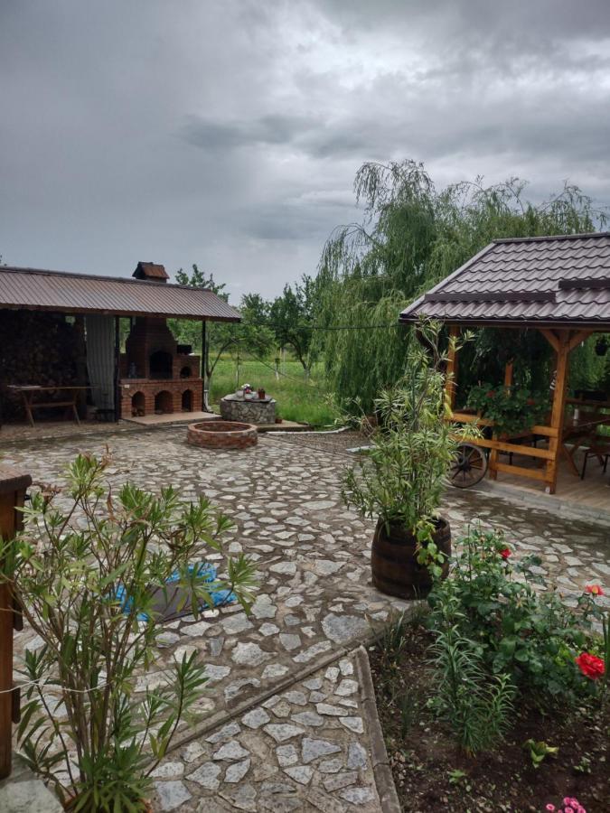 Pensiunea Codruta Cărpinişu Kültér fotó