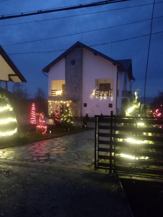 Pensiunea Codruta Cărpinişu Kültér fotó