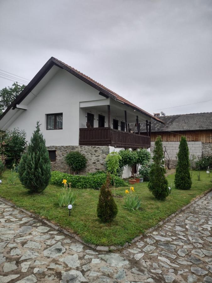 Pensiunea Codruta Cărpinişu Kültér fotó