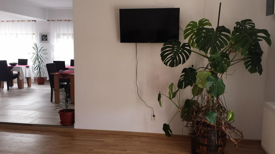 Pensiunea Codruta Cărpinişu Kültér fotó