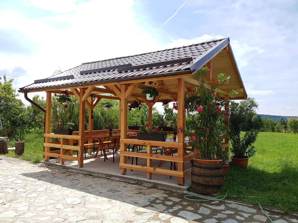 Pensiunea Codruta Cărpinişu Kültér fotó