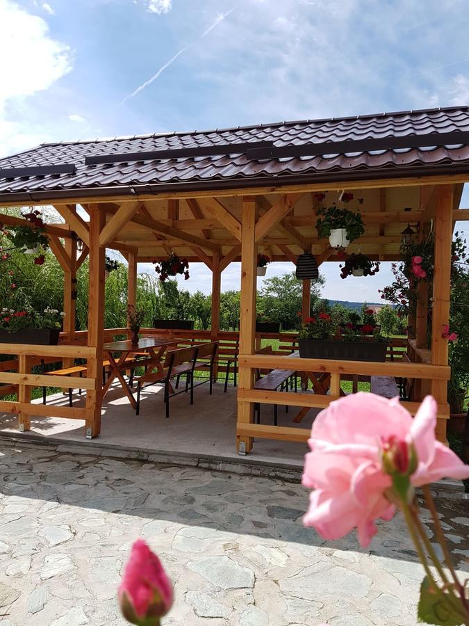 Pensiunea Codruta Cărpinişu Kültér fotó